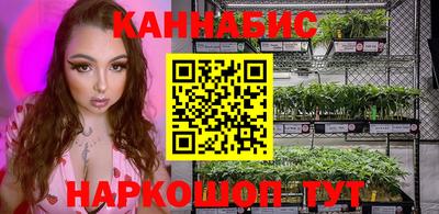 стафф Лесосибирск