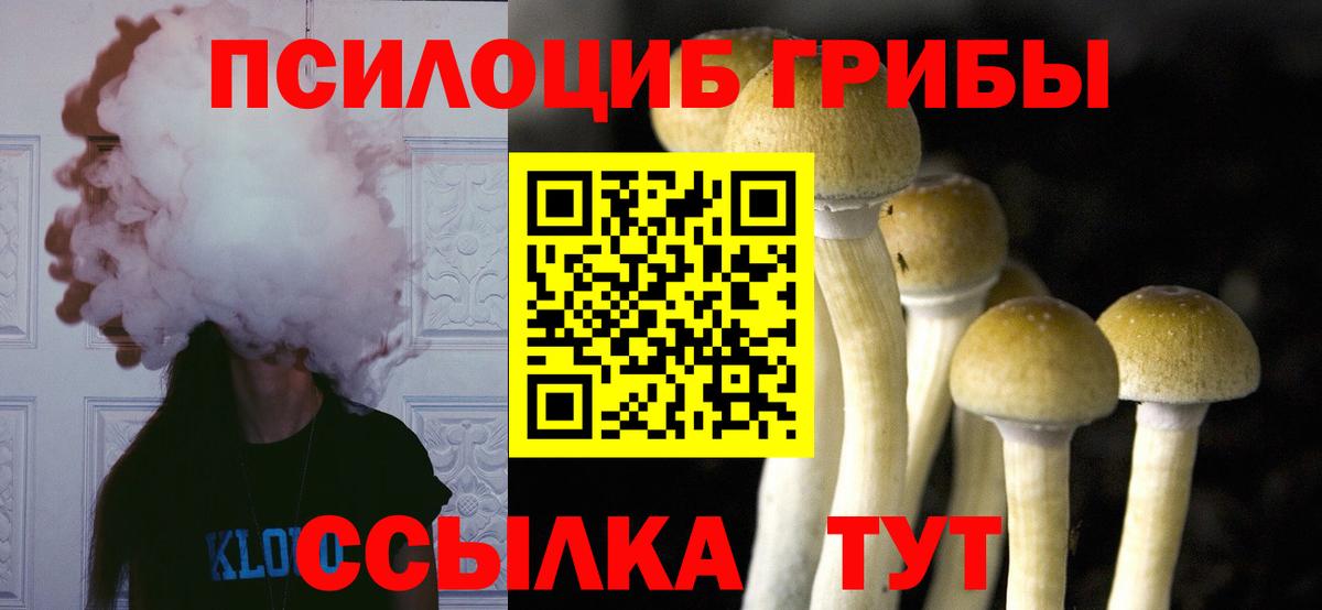 Галлюциногенные грибы Cubensis Ейск